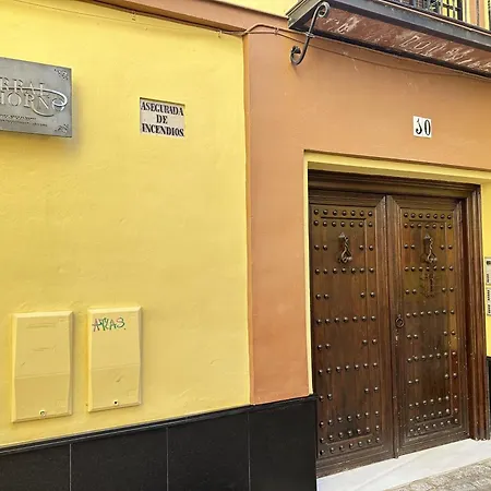 Appartamento Calle Infantes Centro De *